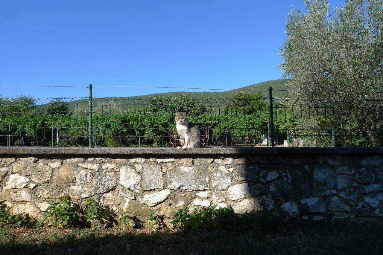 Smolica * Labin (Istria)