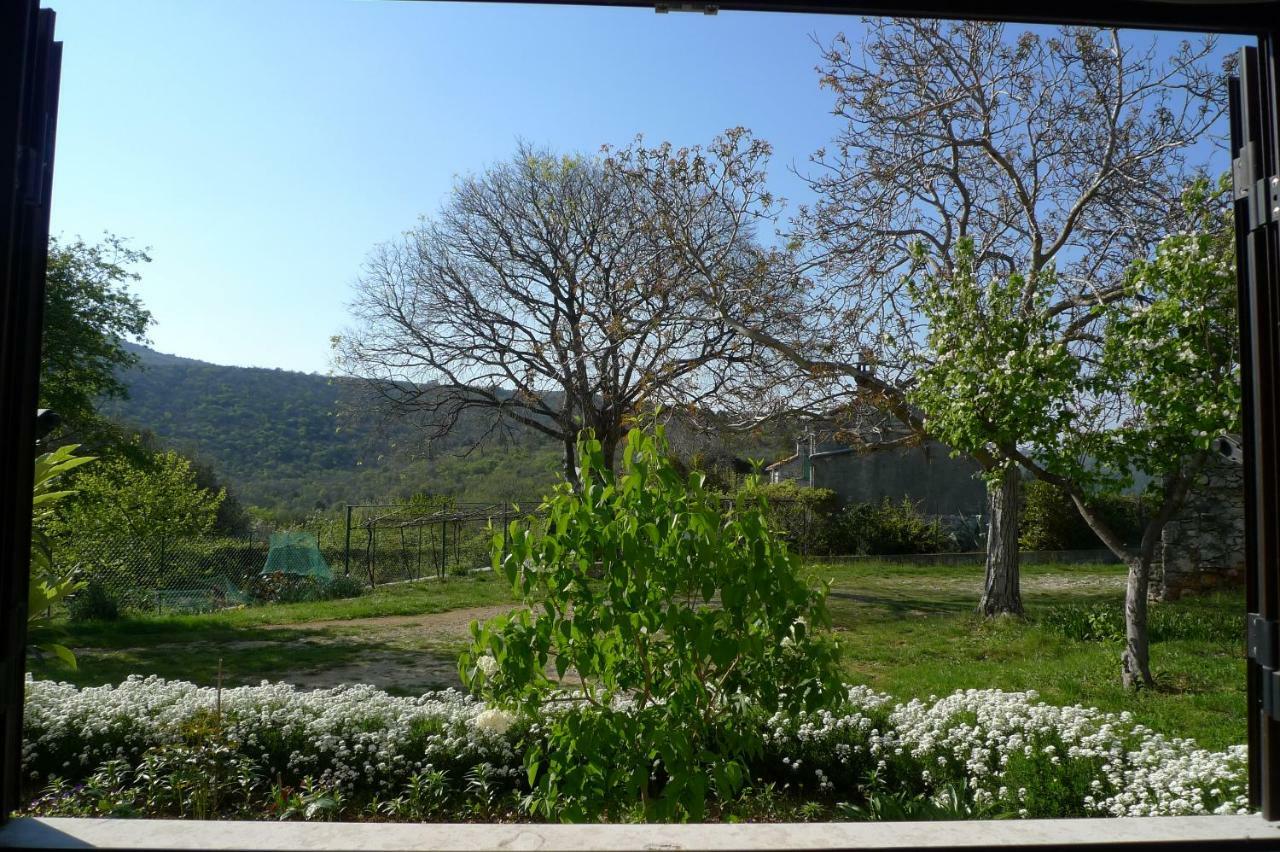Appartamento Smolica