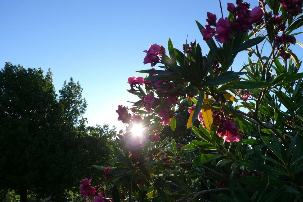 Apartment Smolica Labin (Istria)